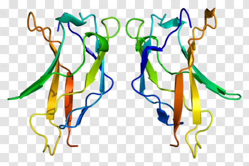 RELA Protein Subunit NF-κB - Silhouette - Flower Transparent PNG