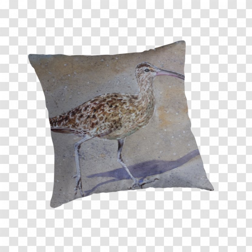 Rediffmail Throw Pillows Duvet Cushion - Pillow Transparent PNG