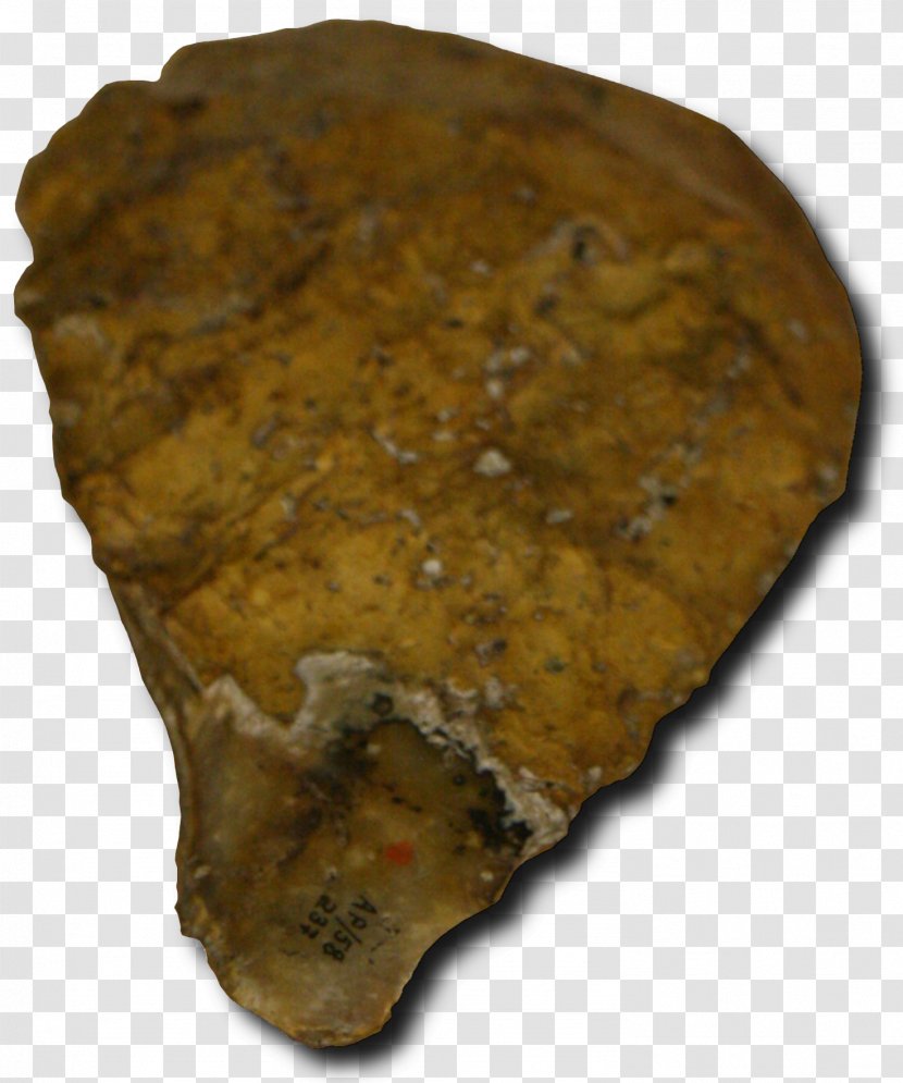Abri Pataud Neandertal Upper Paleolithic Prehistory Magdalenian - Hand Axe - Nearby Transparent PNG