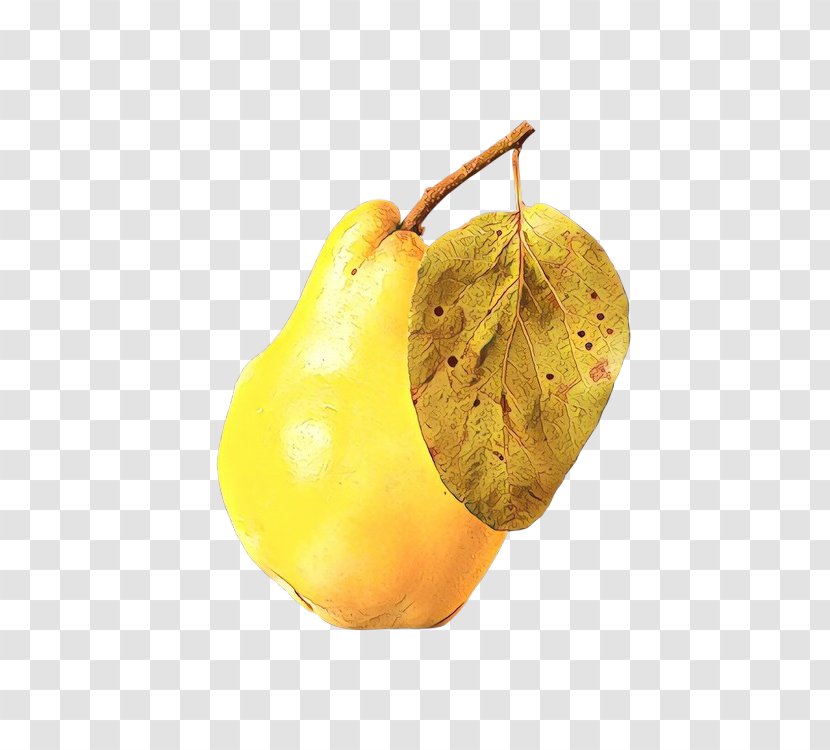 Pear Yellow Tree Plant - Food Fruit Transparent PNG
