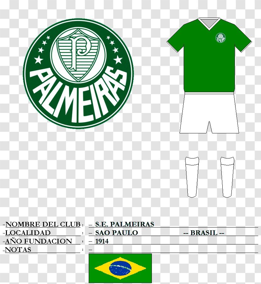 Sociedade Esportiva Palmeiras Campeonato Brasileiro Série A Santos FC Paulista São Paulo - Green Transparent PNG