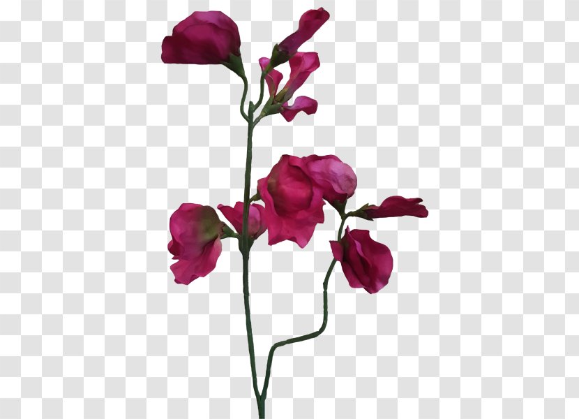 Garden Roses Cut Flowers Moth Orchids Bud - Rose - Artificial Mala Transparent PNG