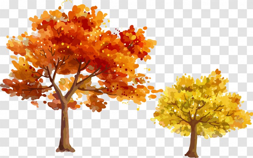 Autumn Tree Leaf - Woody Plant - Trees Leaves Vector Material Hand-painted Transparent PNG