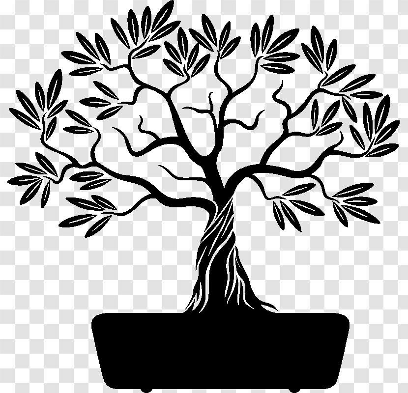 Branch Drawing Clip Art - Woody Plant - Original Sticker Transparent PNG
