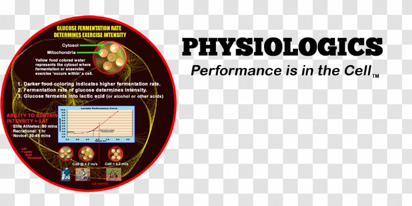 Physiologics Health Exercise Physiology Brand - Minneapolis Transparent PNG