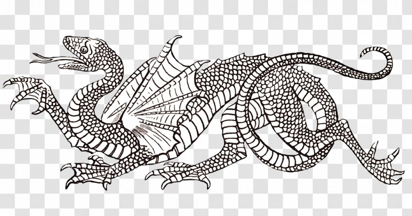 Dragon Drawing Line Art - Visual Arts - Marsupial Transparent PNG