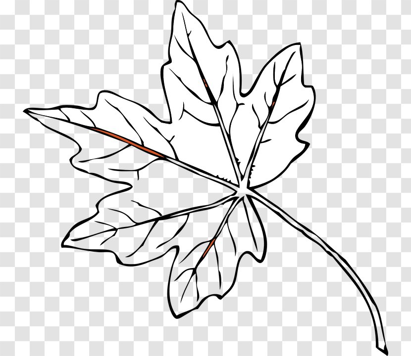 Autumn Leaf Color Clip Art - Line Transparent PNG