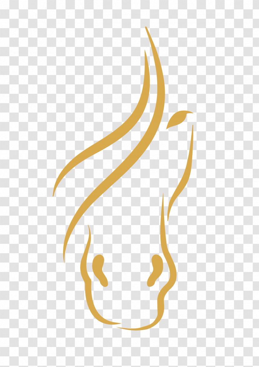 Lipizzan Arabian Horse Drawing Clip Art - Wing - Jahfarr Wilnis Transparent PNG