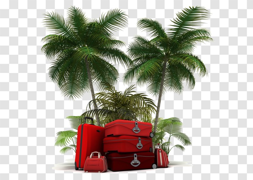 I.P.A.G. Srl Vacation Travel Suitcase - Service - Leaf Transparent PNG