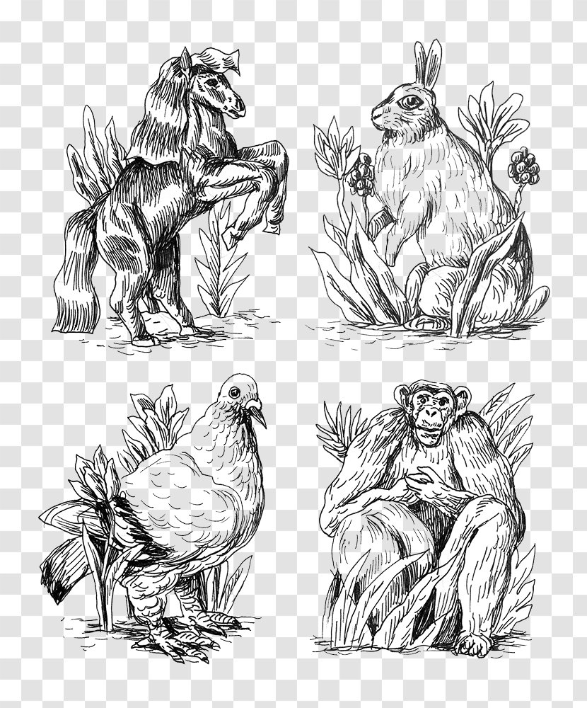 Drawing Black And White Sketch - Mammal - Creative Hand-painted Animal Pencil Transparent PNG