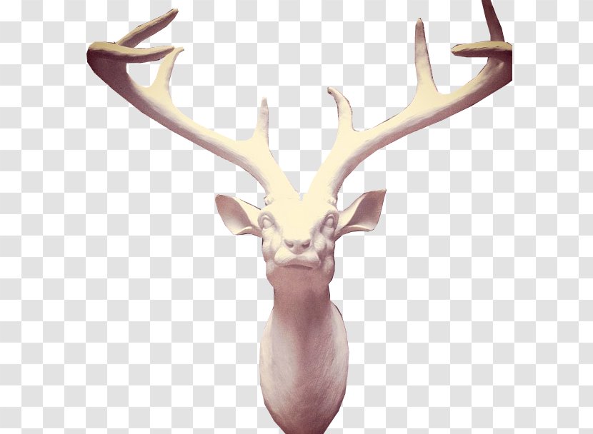 Deer Antler Doodle Transparent PNG