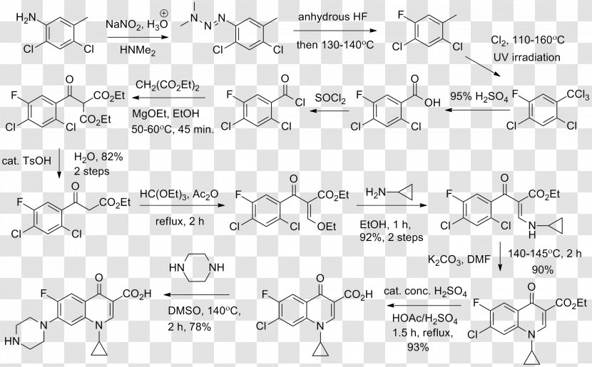 Ciprofloxacin Fluoroquinolone Antibiotics Pharmaceutical Drug Interaction - Watercolor Transparent PNG