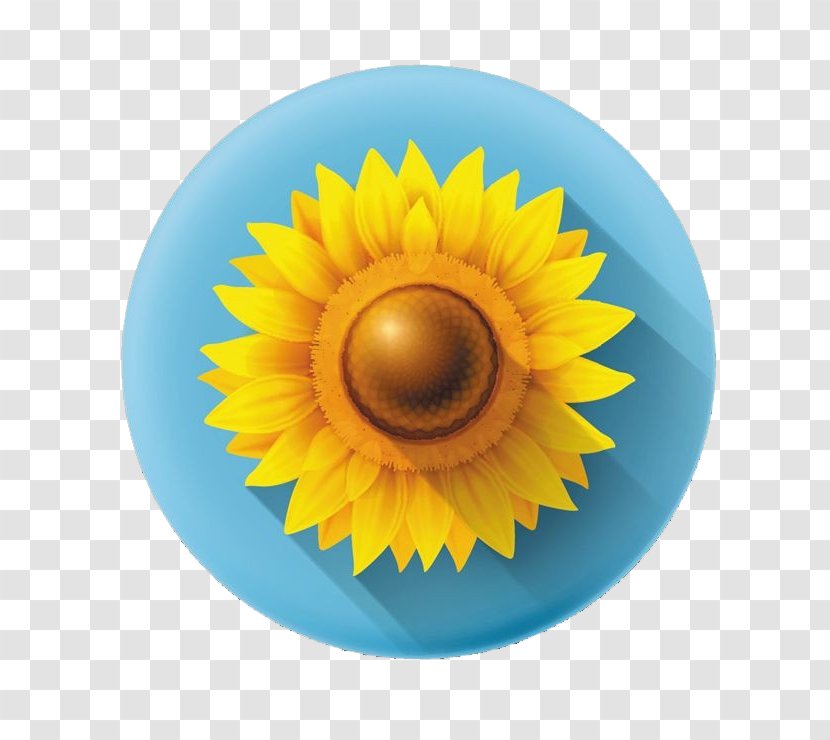Common Sunflower Icon - 3D Flowers Transparent PNG