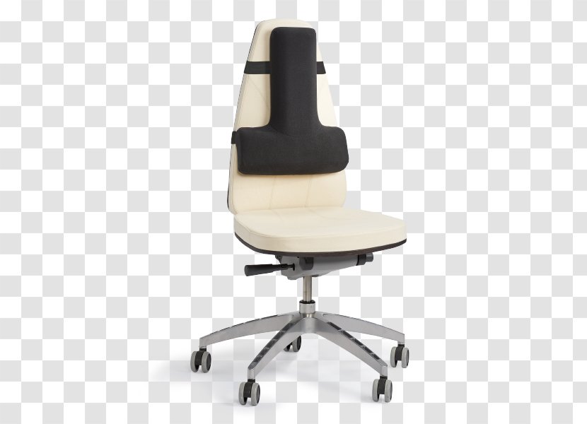Lumbar Back Brace Thoracic Vertebrae Chair Human - Seat - Fitness Movement Transparent PNG