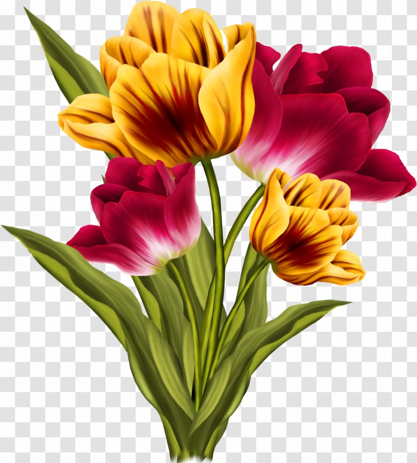 Lily Flower Cartoon - Bouquet Family Transparent PNG