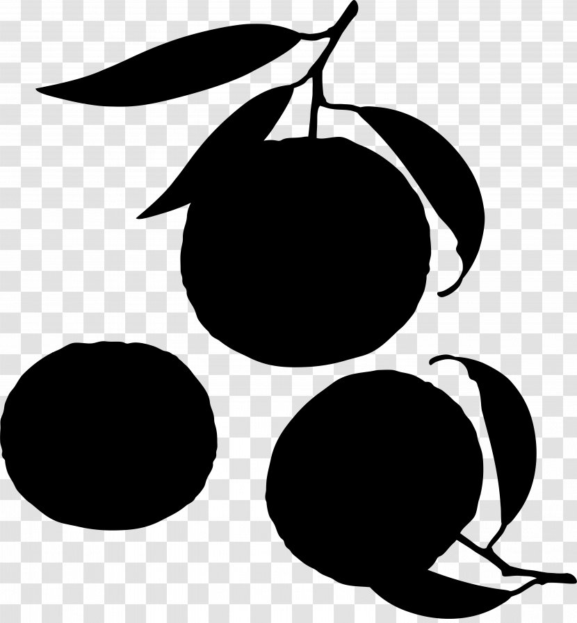 Clip Art Fruit Line Pattern Silhouette - Black M Transparent PNG