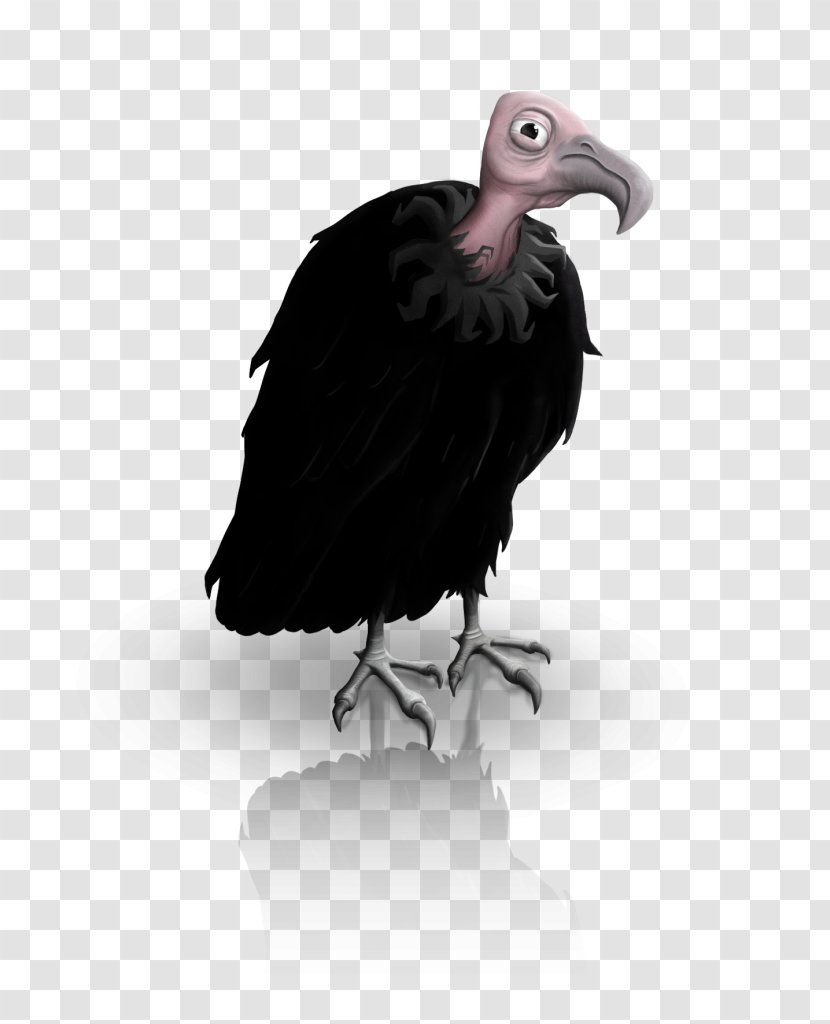 Condor Fauna Vulture Beak - Reforestation Transparent PNG
