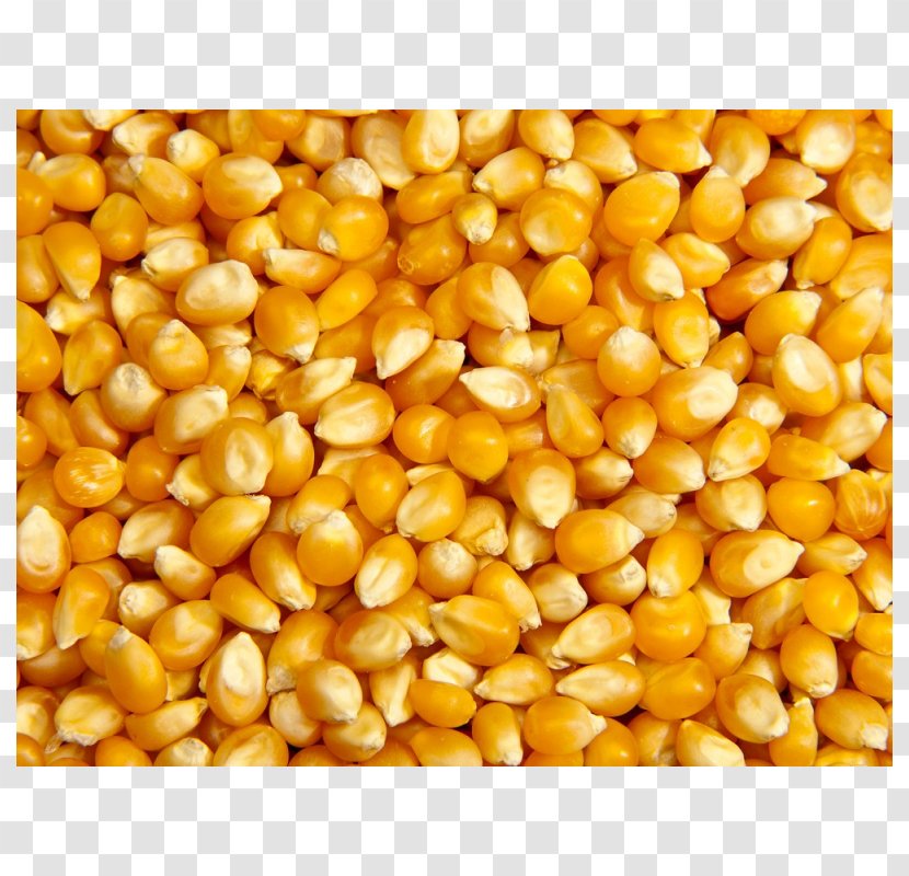 Popcorn Sweet Corn Maize Cereal Food - Grain Transparent PNG