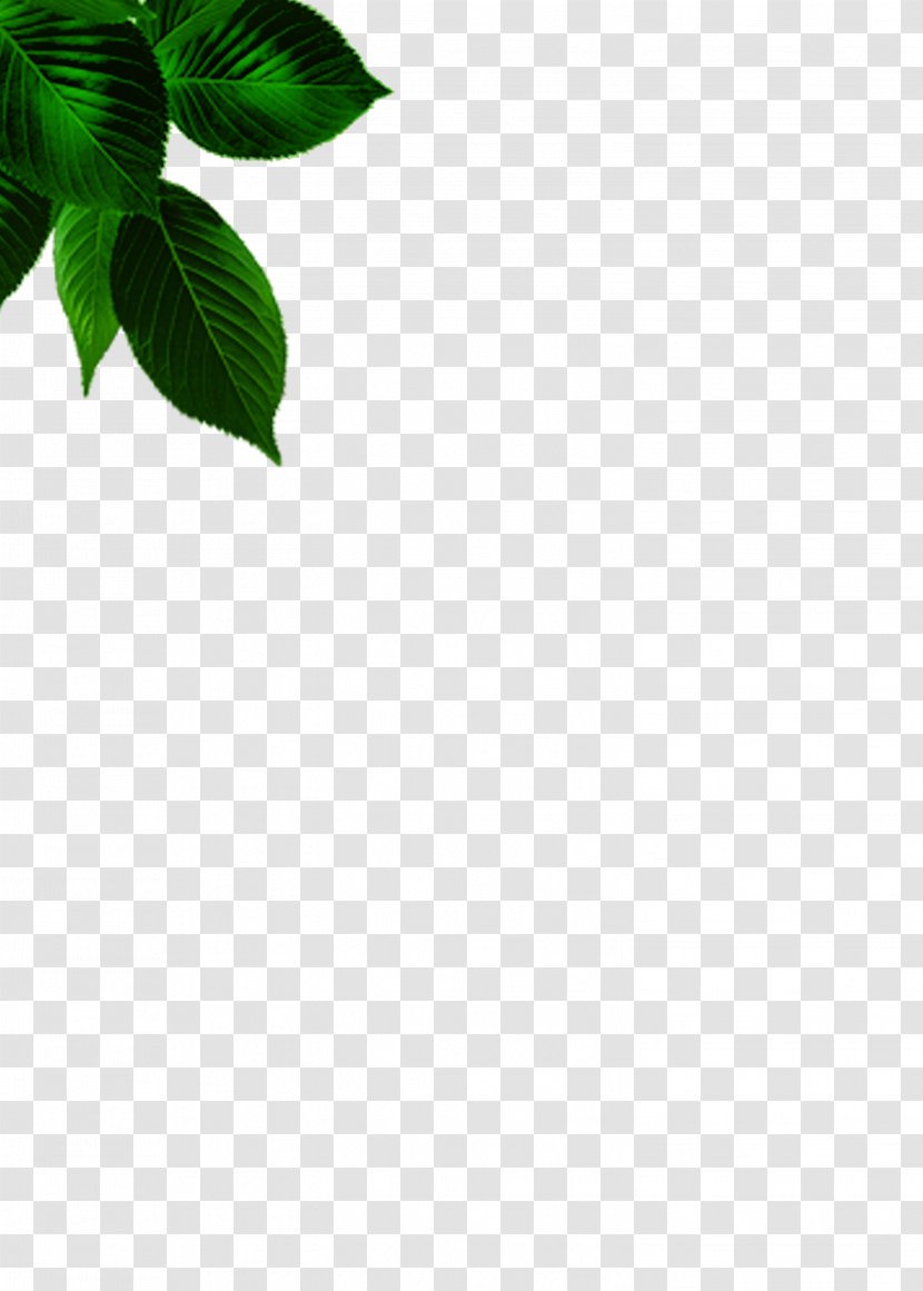 Green Leaf Angle Pattern - Leaves Transparent PNG