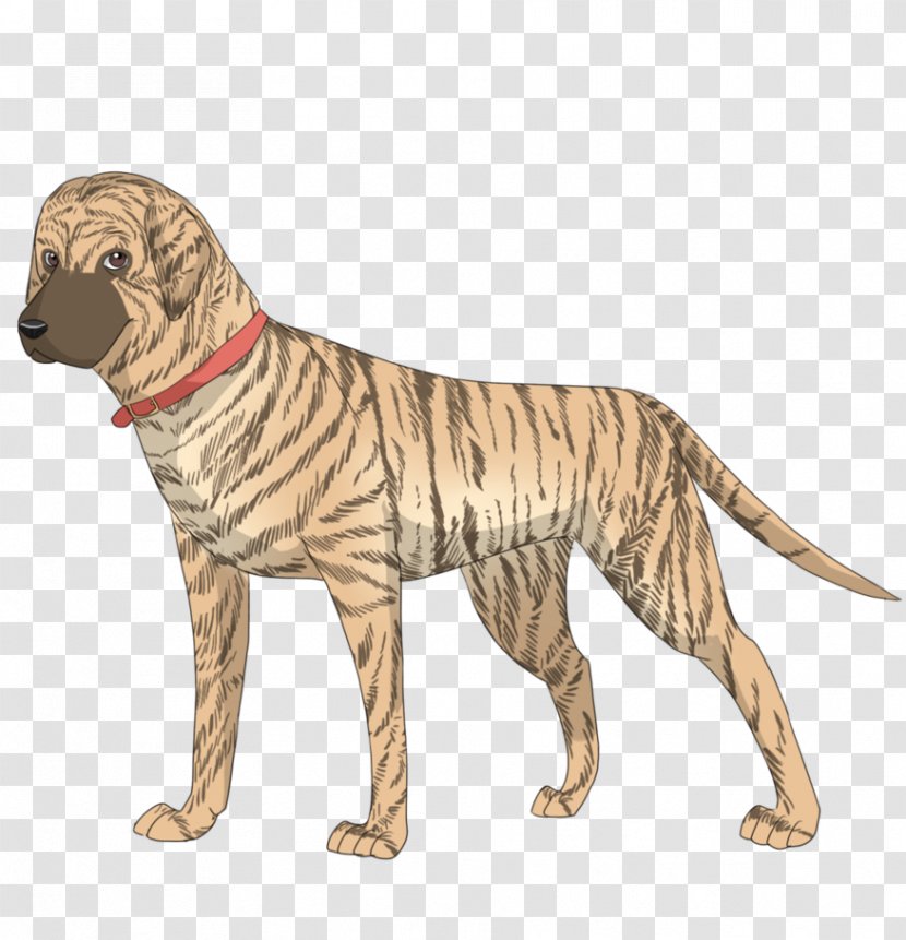 Dog Breed Sporting Group Retriever Cat Transparent PNG