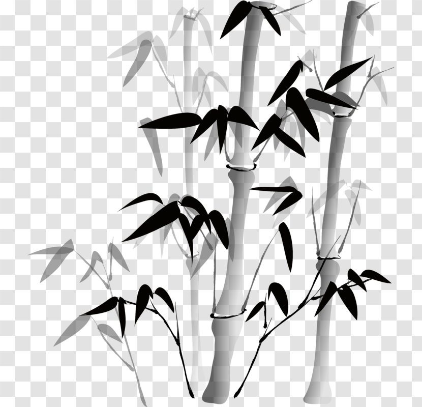 Bamboo Painting China Chinese Drawing - Tree Transparent PNG