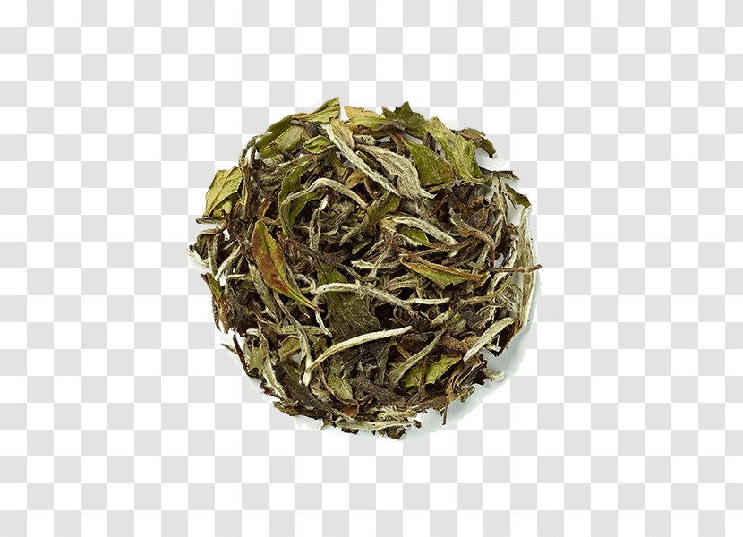 English Breakfast Tea Bai Mudan White Green - Plant Transparent PNG