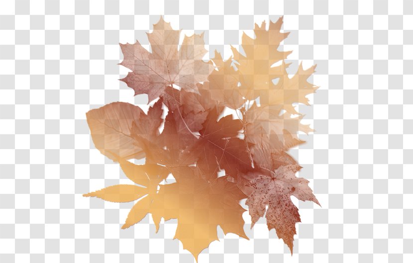 Leaf Autumn Paper Clip Art - Tree Transparent PNG