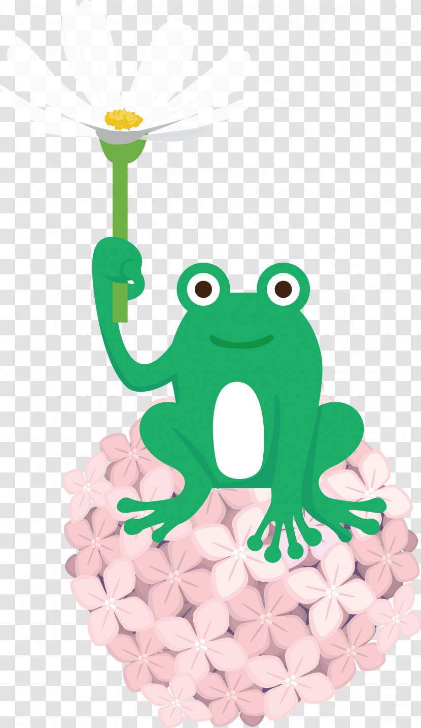 Frogs Cartoon Tree Frog Science Biology Transparent PNG