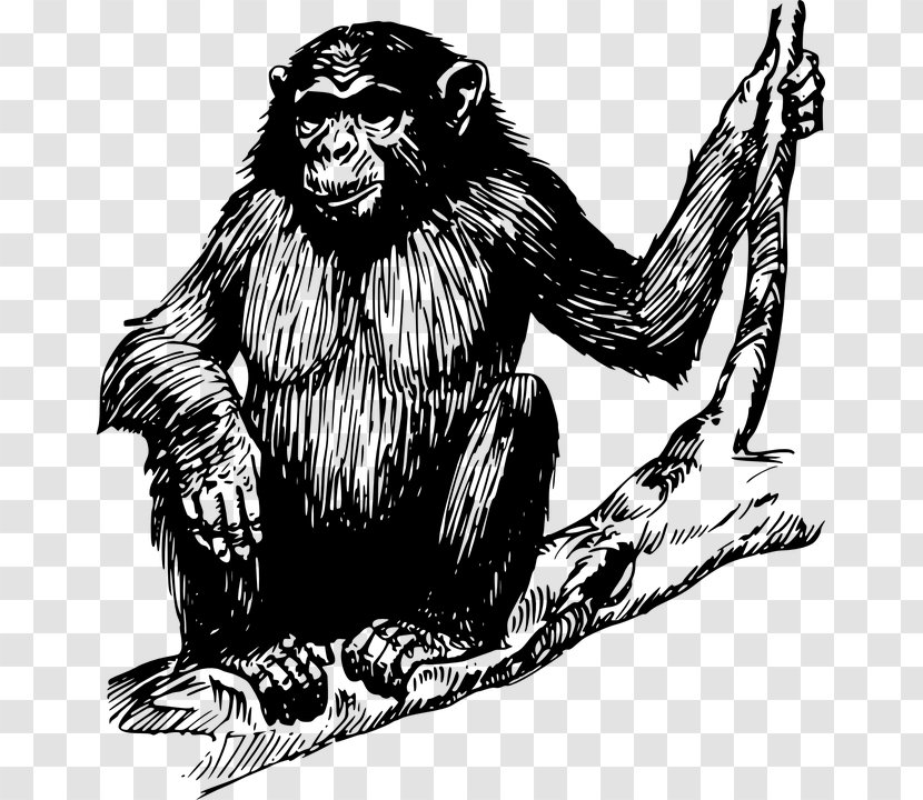 Ape Gorilla Chimpanzee Clip Art - Black And White - Simple Animal Bones Transparent PNG