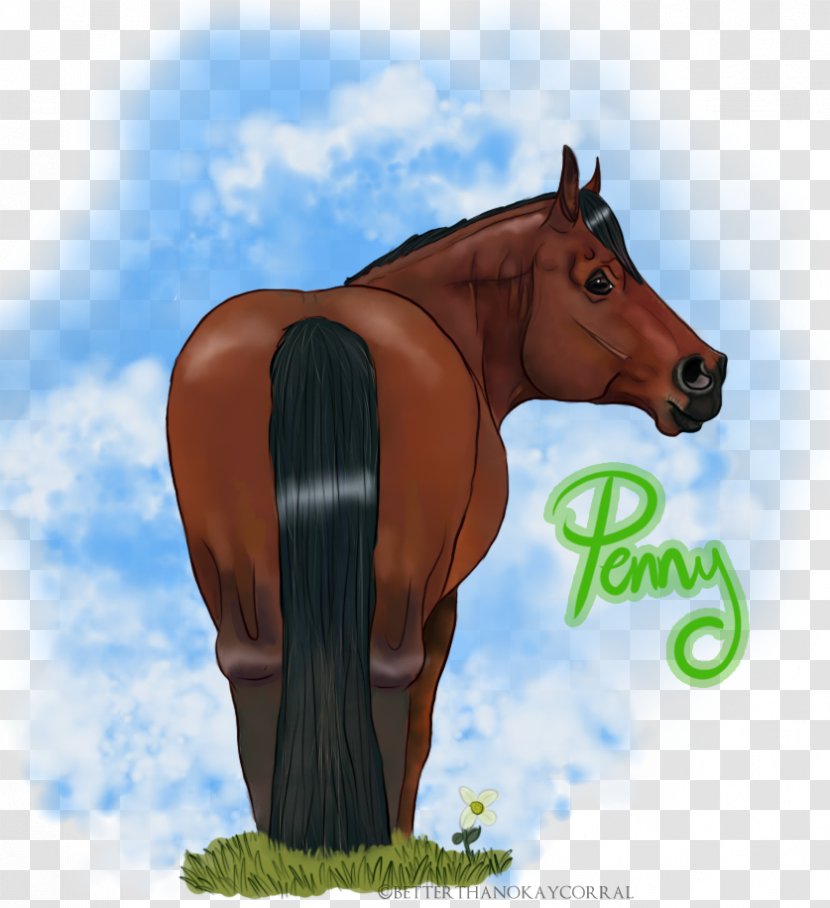 Foal Stallion Mare Colt Mustang - Horse Like Mammal - Happy Dog Transparent PNG