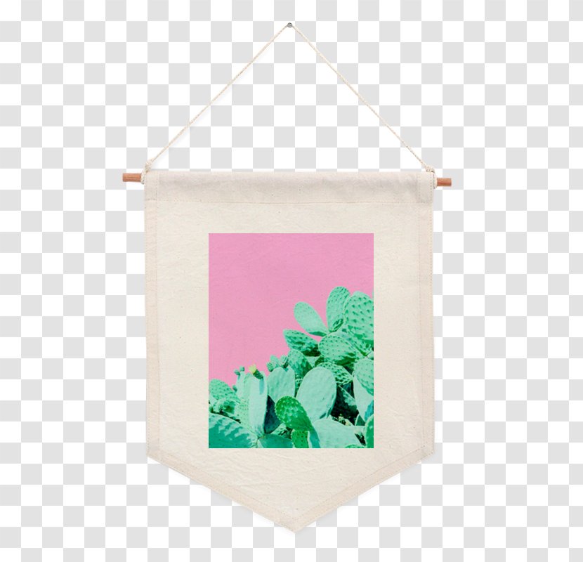 Picture Frames - Frame - Cactus Transparent PNG