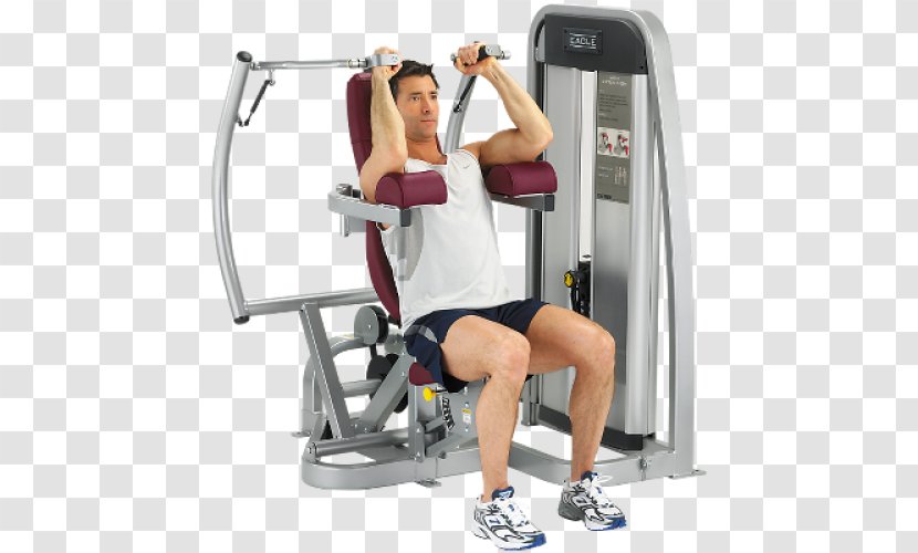 Exercise Equipment Aerobic Physical Fitness Centre Treadmill - Tree - Arm Muscle Transparent PNG