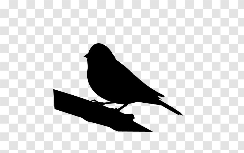 Beak American Sparrows Fauna Silhouette Black M Transparent PNG