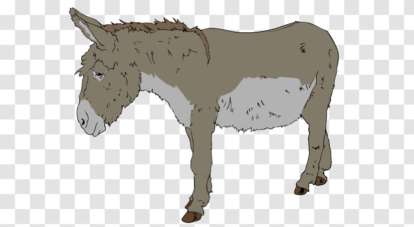 Benjamin Donkey Free Content Clip Art - Livestock - Wikipedia Page Cliparts Transparent PNG