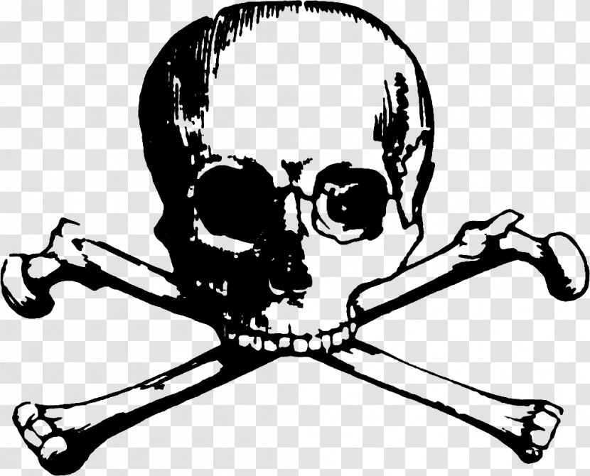 Skull And Crossbones Bones Human Symbolism Clip Art Transparent PNG