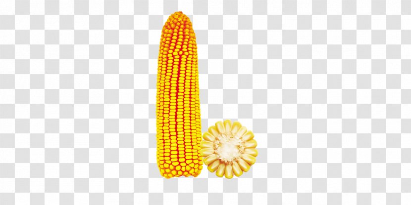 Corn On The Cob Yellow Maize Corncob Wallpaper - Computer - B Transparent PNG