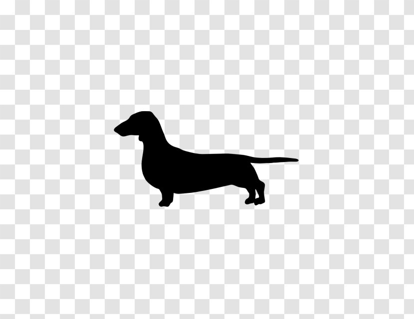 The Dachshund Labrador Retriever German Wirehaired Pointer Hot Dog - Hound Transparent PNG