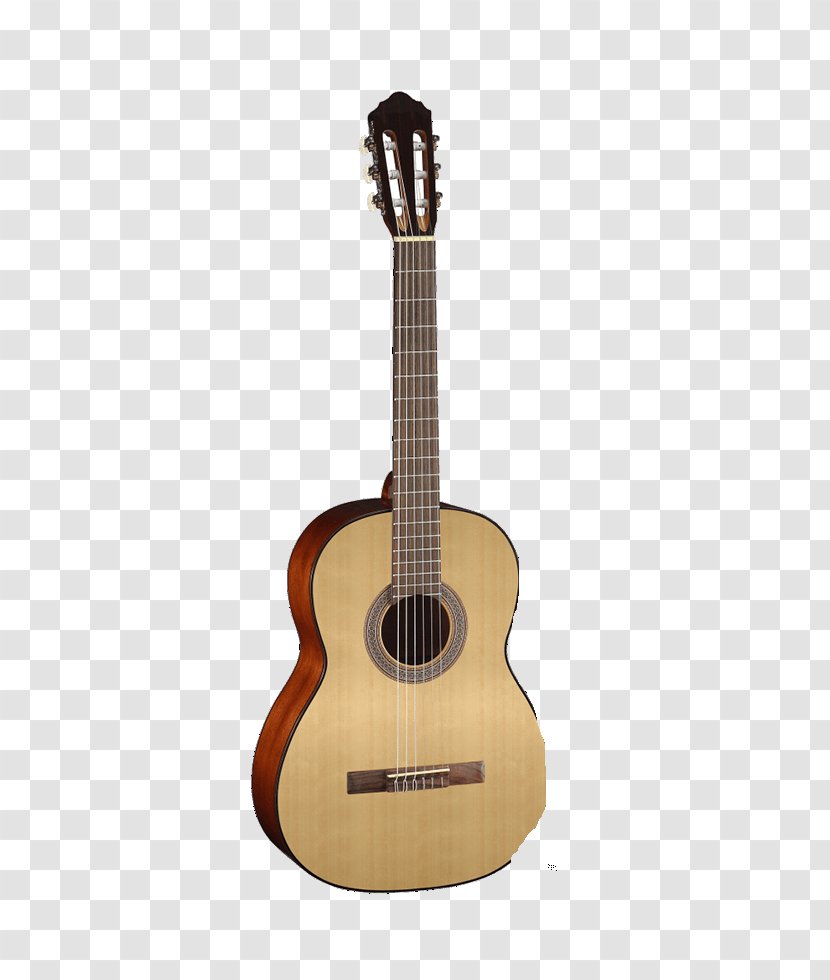 Alhambra Classical Guitar Flamenco Acoustic - String Transparent PNG