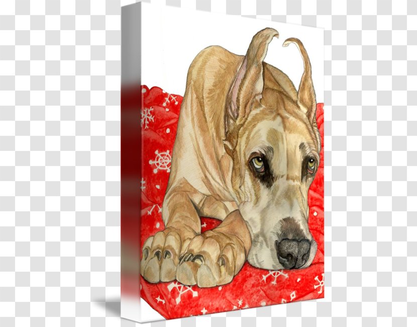 Dog Breed Puppy Great Dane Non-sporting Group Fawn - GREAT DANE Transparent PNG