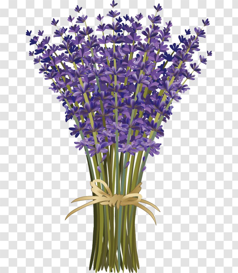 Lavandula Dentata French Lavender Flower Bouquet Floral Design - Cut Flowers - Cartoon Of Creative Transparent PNG