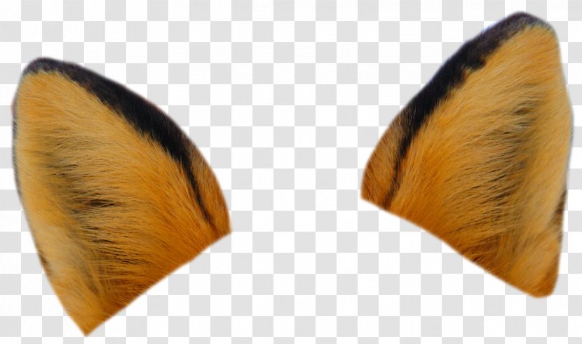 Red Fox Ear Drawing Tail - Cartoon - Fennec Transparent PNG