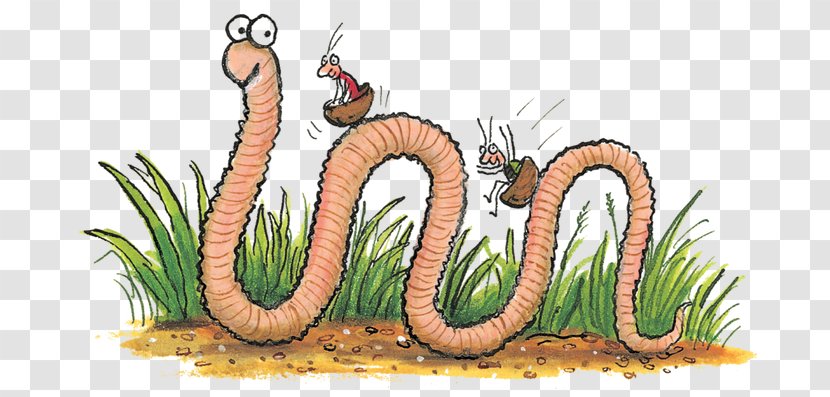 Superworm Insect Foundation Stage Clip Art - Fauna Transparent PNG