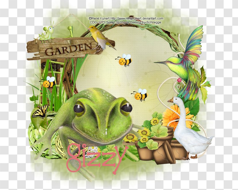 True Frog Amphibian Tree Toad - Spring Is Coming Transparent PNG