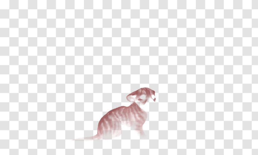 Whiskers Whippet Italian Greyhound Cat - Lion Cub Transparent PNG