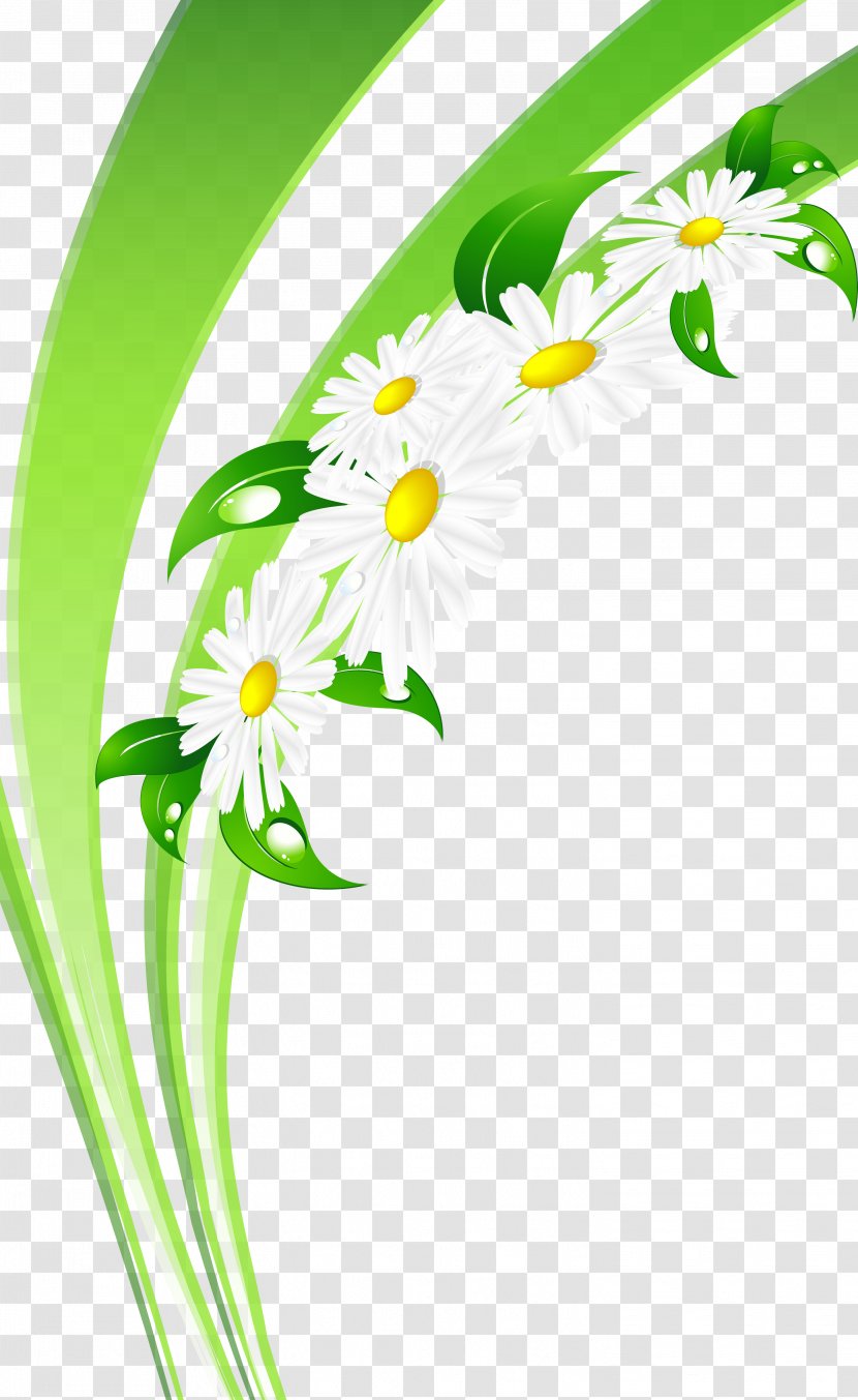 Day Of Russian Family And Love Photography Clip Art - Chamomile Flower Transparent PNG