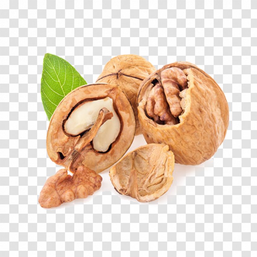 English Walnut Nalewka Fruit - Mesocarpi - With Leaves Transparent PNG