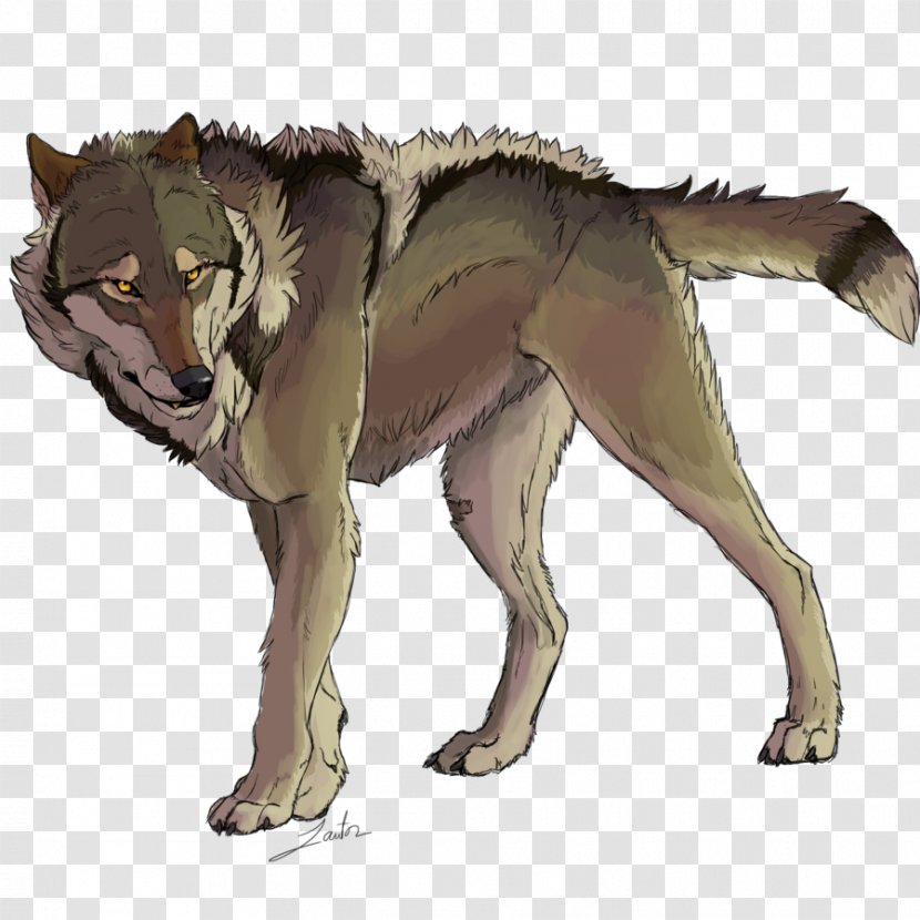 Gray Wolf Dog Red Drawing Pack - Deviantart Transparent PNG