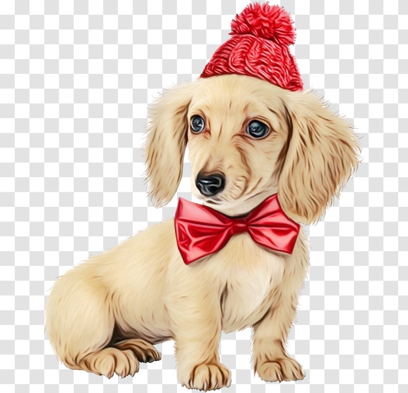 Dog Golden Retriever Puppy Companion Sporting Group Transparent PNG