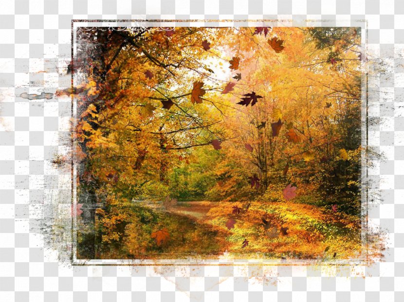 Desktop Wallpaper Autumn High-definition Television Display Resolution - Landscape Transparent PNG