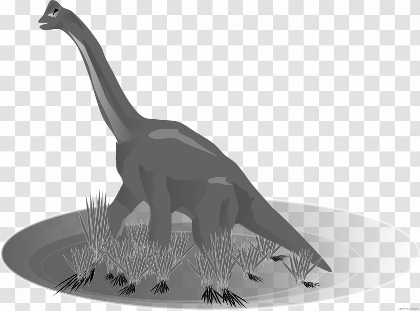 Apatosaurus Tyrannosaurus Stegosaurus Triceratops Clip Art - Pterosaurs - Dinosaur Transparent PNG